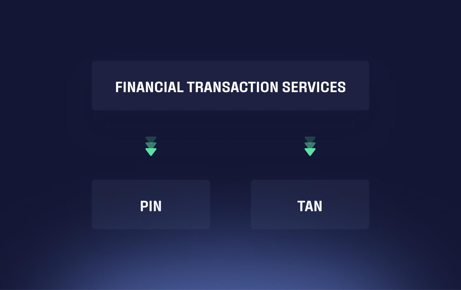 FinTs using the PIN and TAN